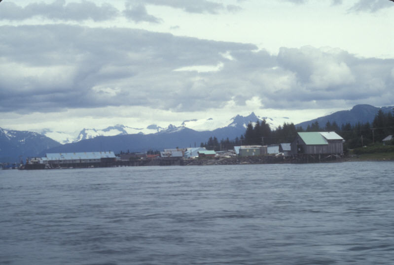 ak-03-22 Wrangell Island