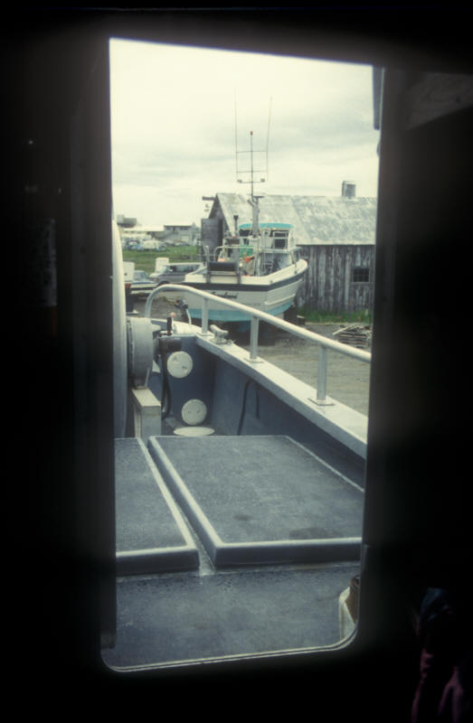 ak96-a-21 view out the back door, on land