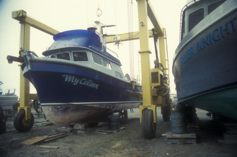 ak96-a-28 My Colleen on land